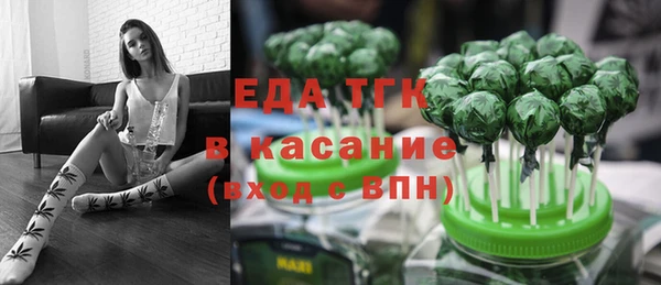 индика Беслан